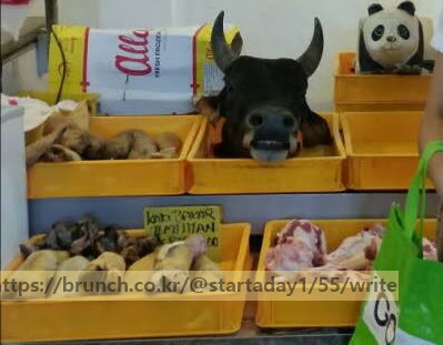 말레이시아 우시장.jpg