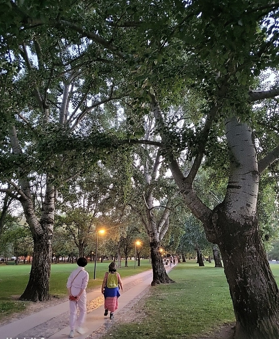 팜플로랴 걷는 사진.jpg