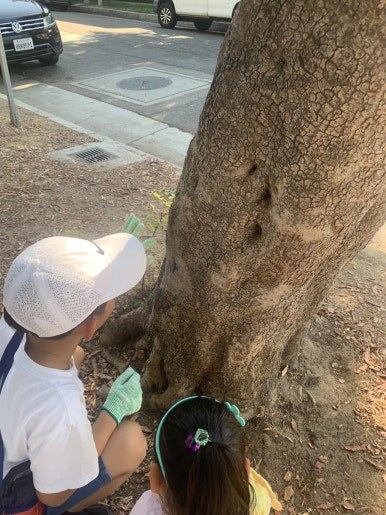 온라인 카지노 게임