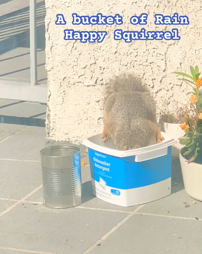 카지노 게임 사이트