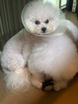 KakaoTalk_20241112_130123258_01 (1).jpg