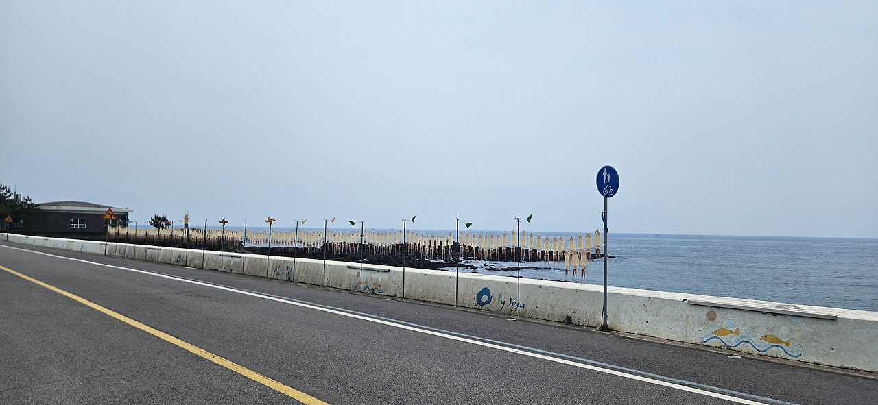 오징어 말리기.jpg