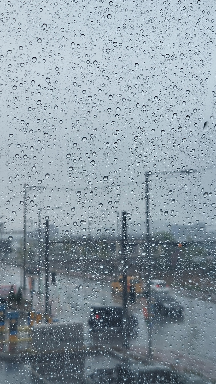 카지노 게임
