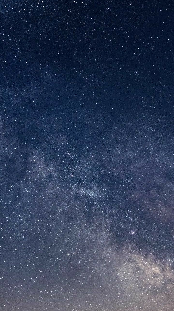 무료 카지노 게임