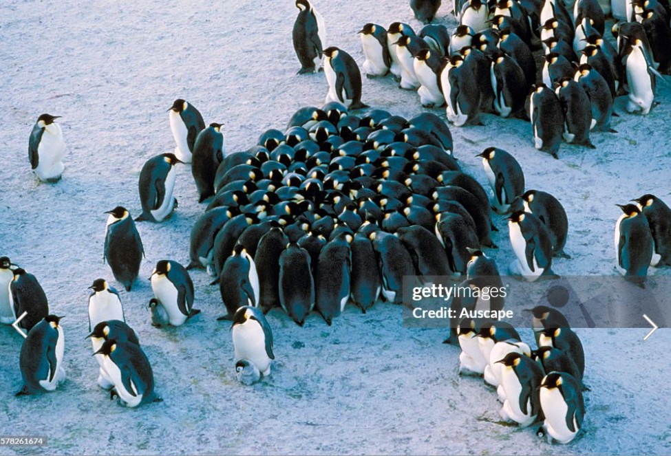 화면 캡처 2025-10-30 154632.jpg