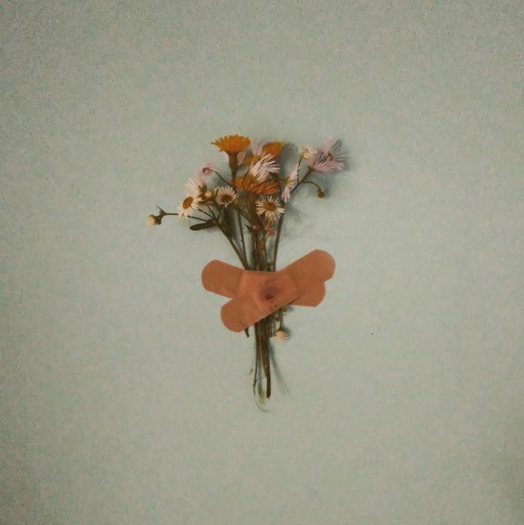 다운로드 (8).jpg