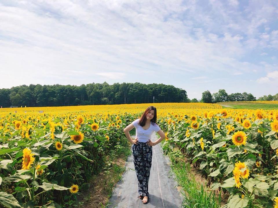 호쿠류초 해바라기.jpg