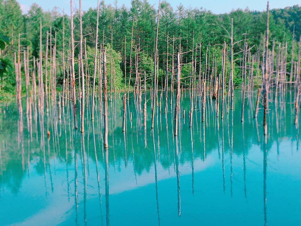비에이 청의호수.jpg