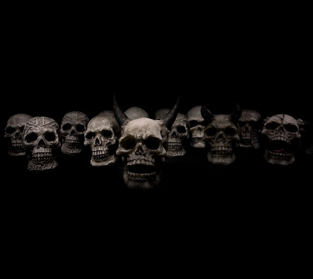 skulls-623532_640.jpg