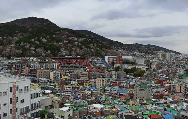 busan-5046161_640.jpg