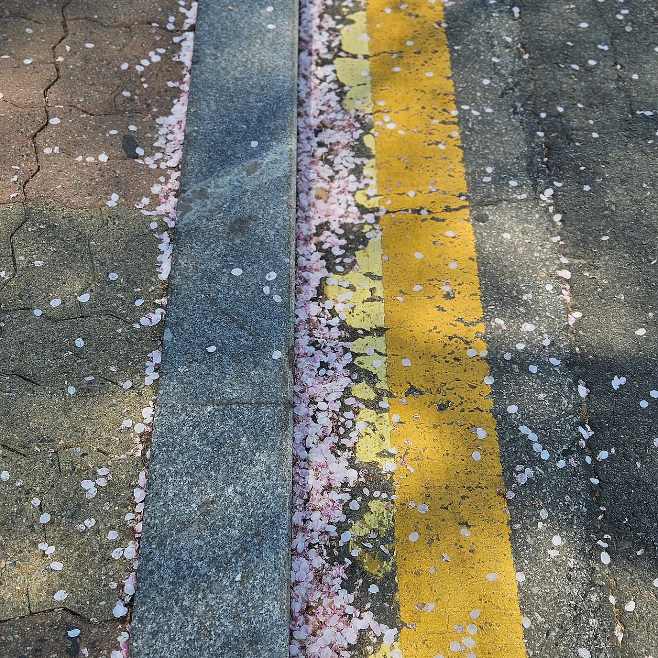 푸른솔에서 기숙사로 바닥 미술.jpg