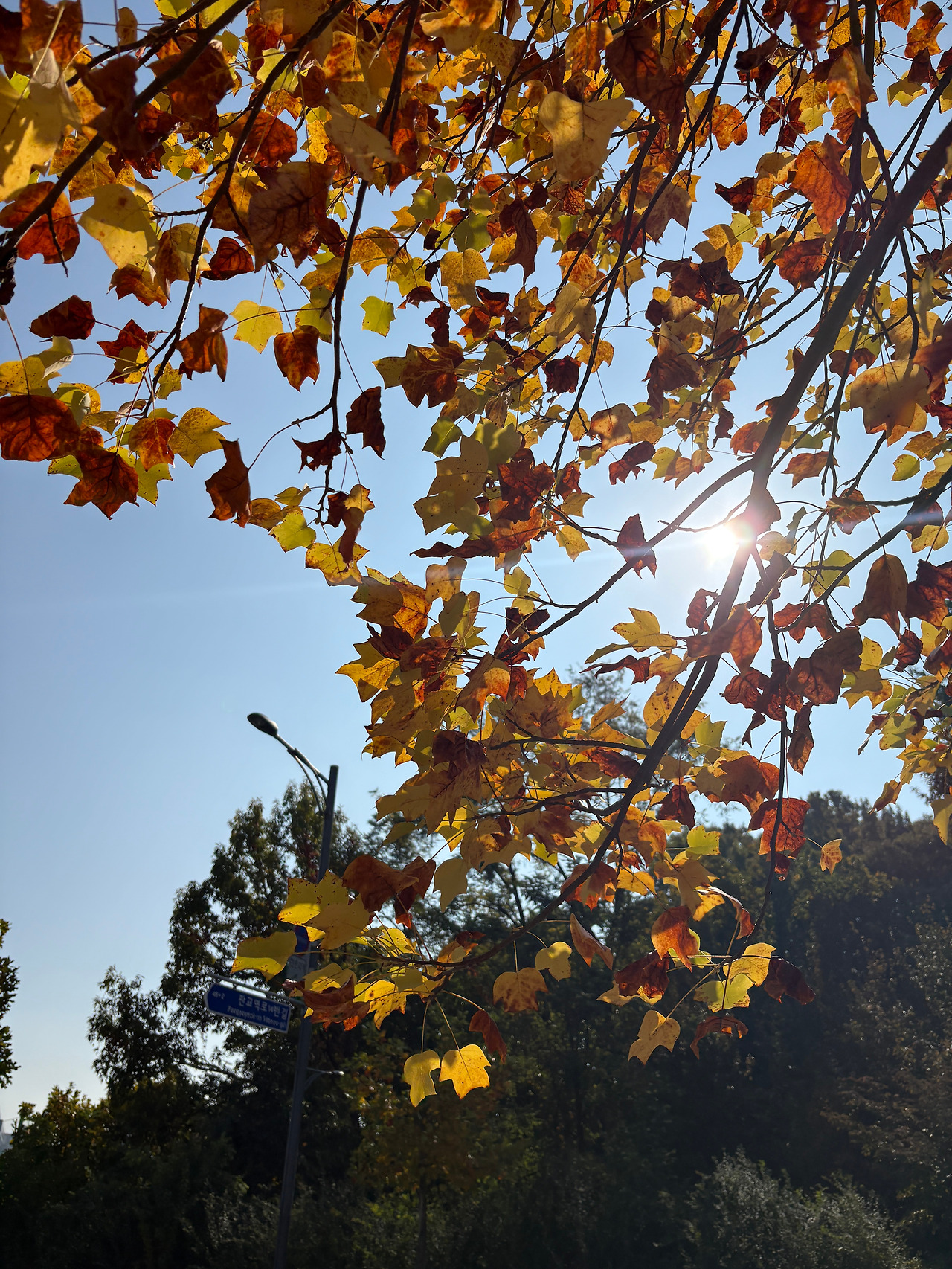 KakaoTalk_20251105_204800663_01 (1).jpg