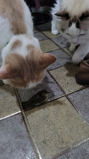 2024-09-25 09.15.11.jpg