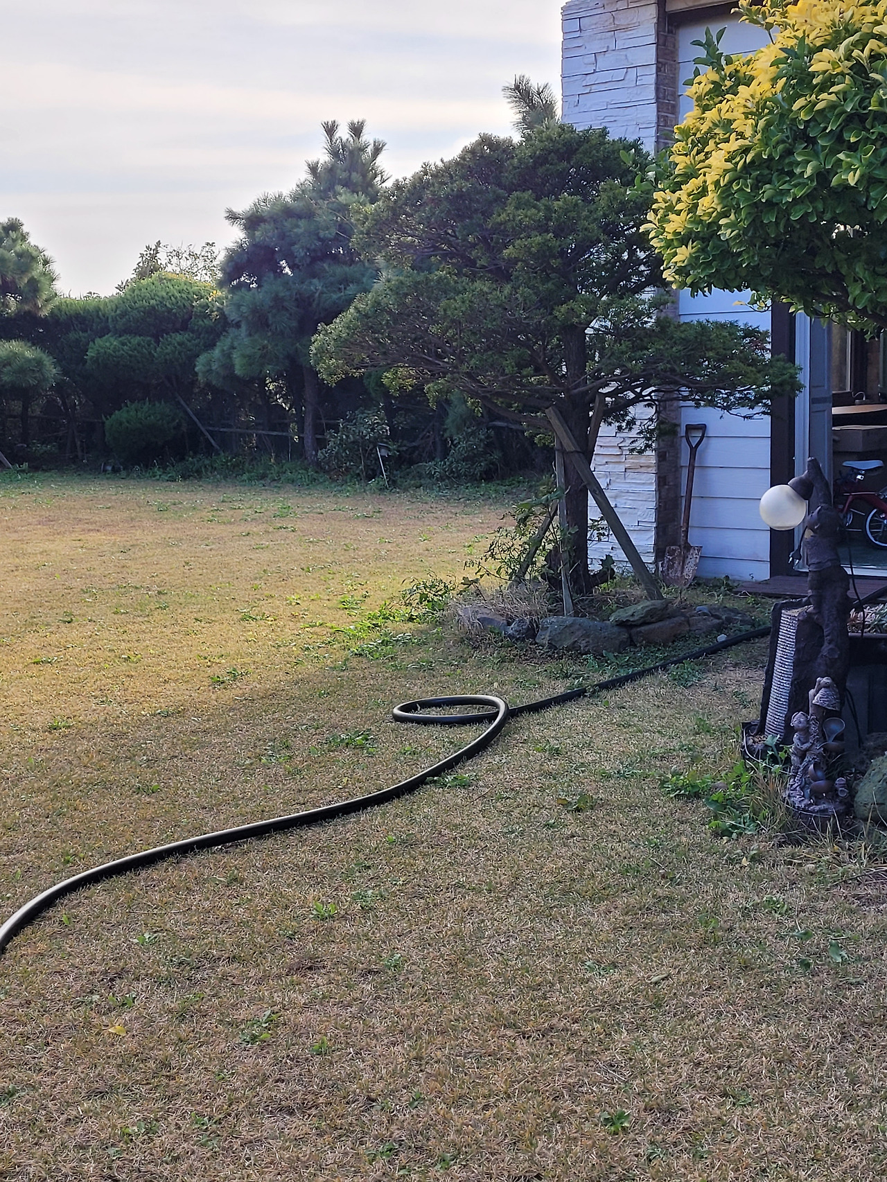 2024-12-03 09.47.24.jpg