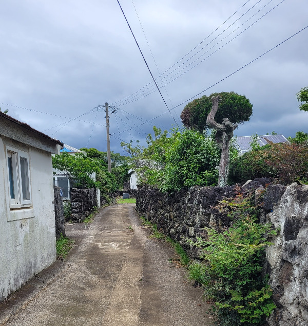 20240508_101840 (1).jpg