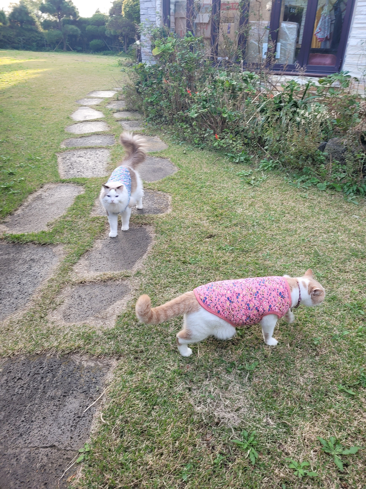 2024-11-25 08.21.33.jpg