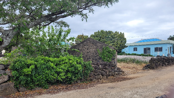 20240508_101916 (1).jpg