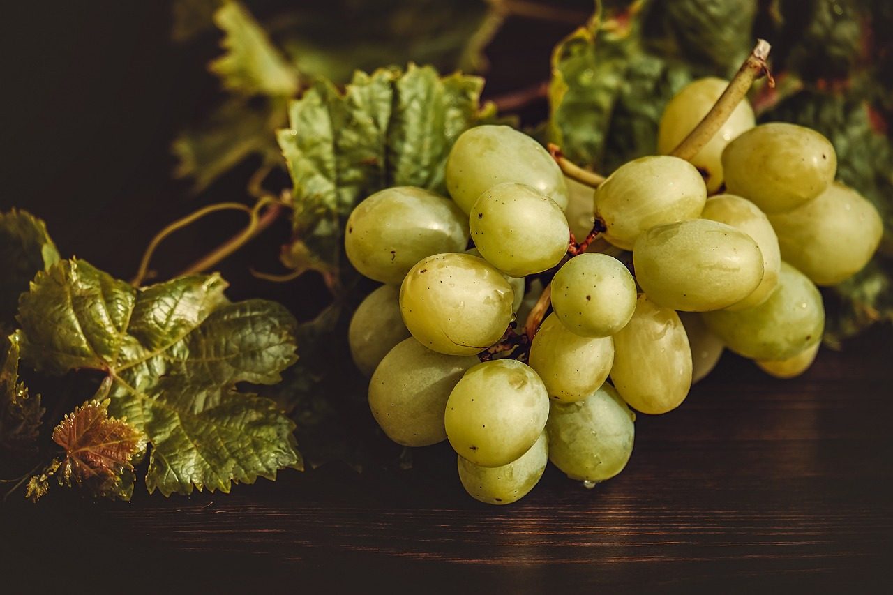 grapes-3696472_1280.jpg