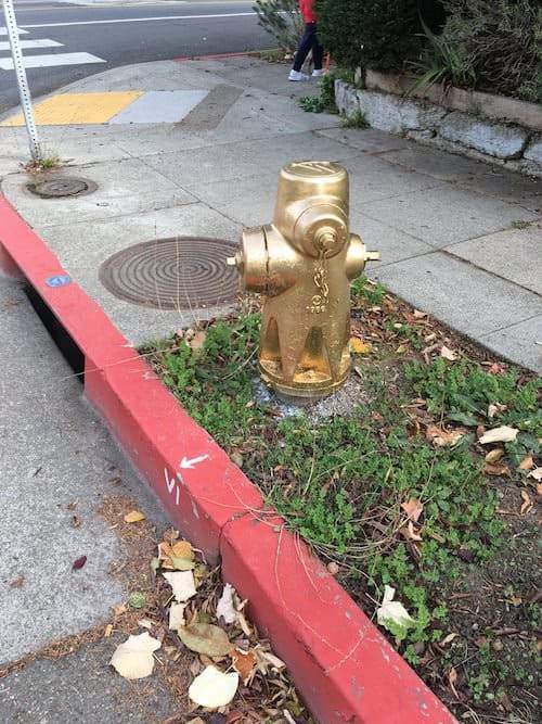 Red-curb-fire-hydrant-ticket.jpg