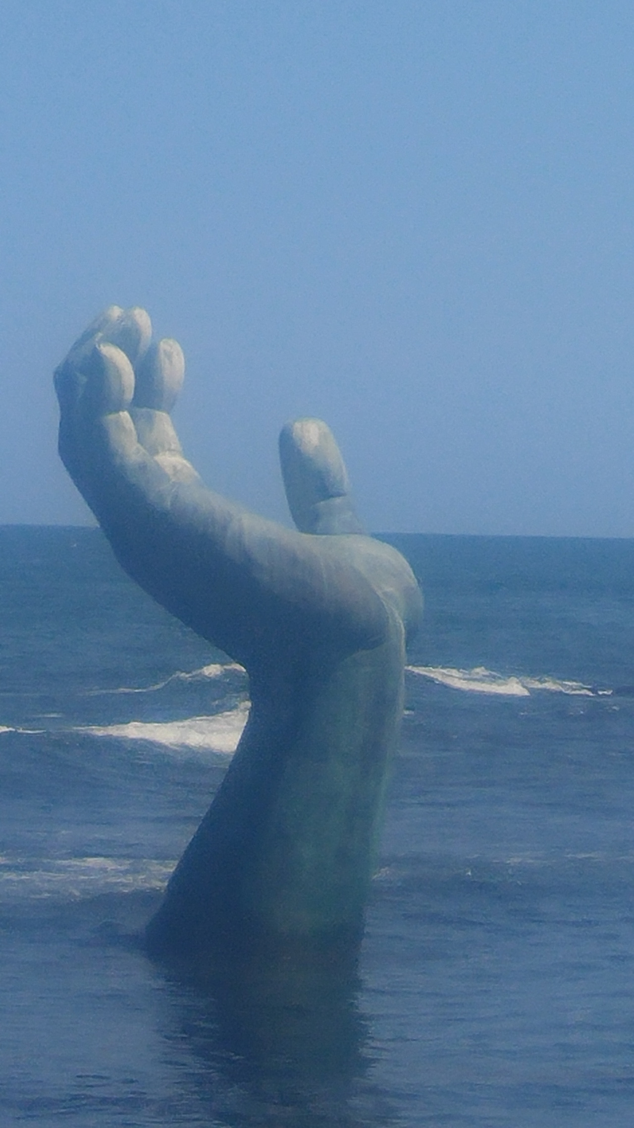 20200620_141759 (1).jpg