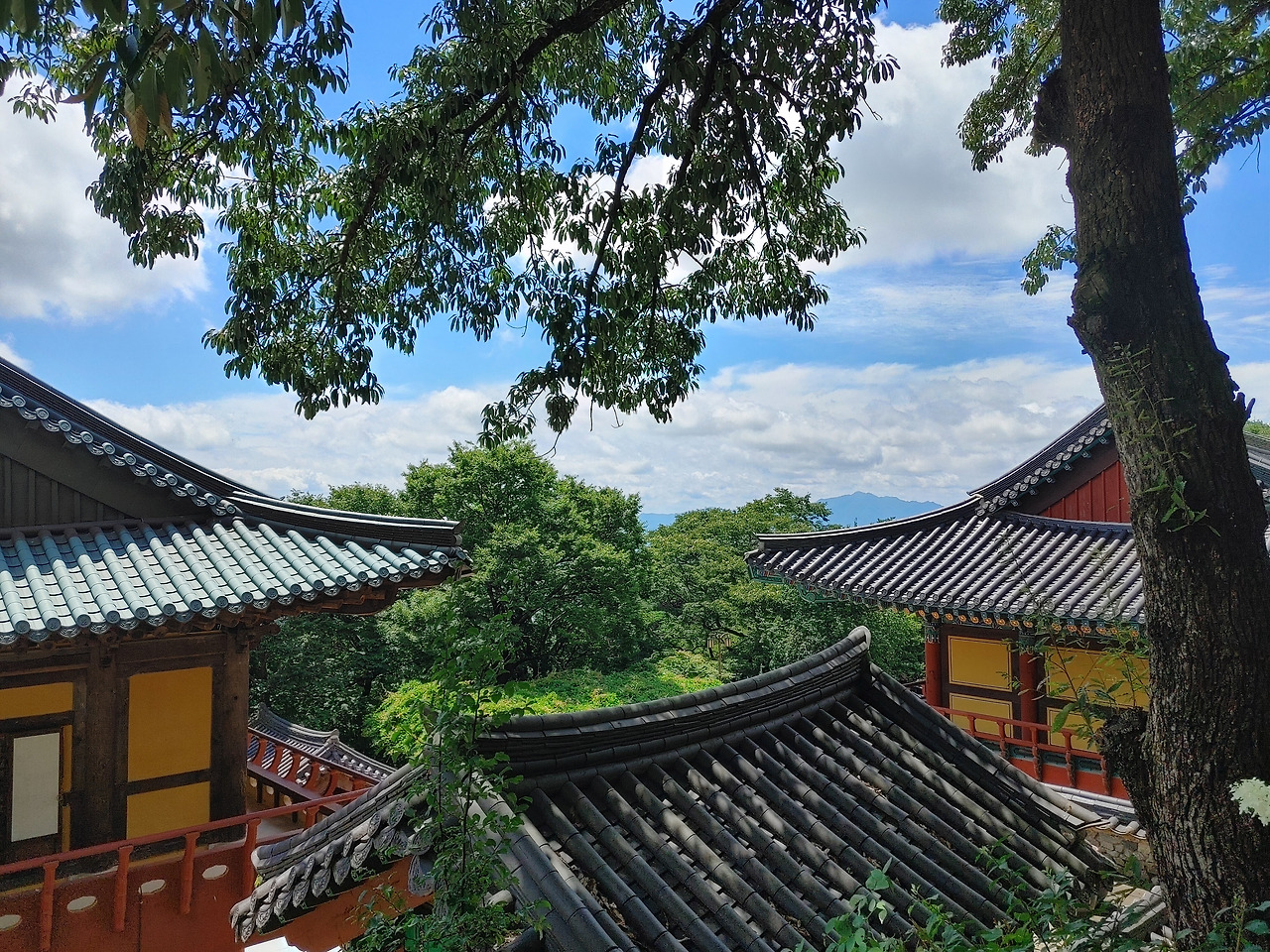 20220812_120204_HDR (1).jpg