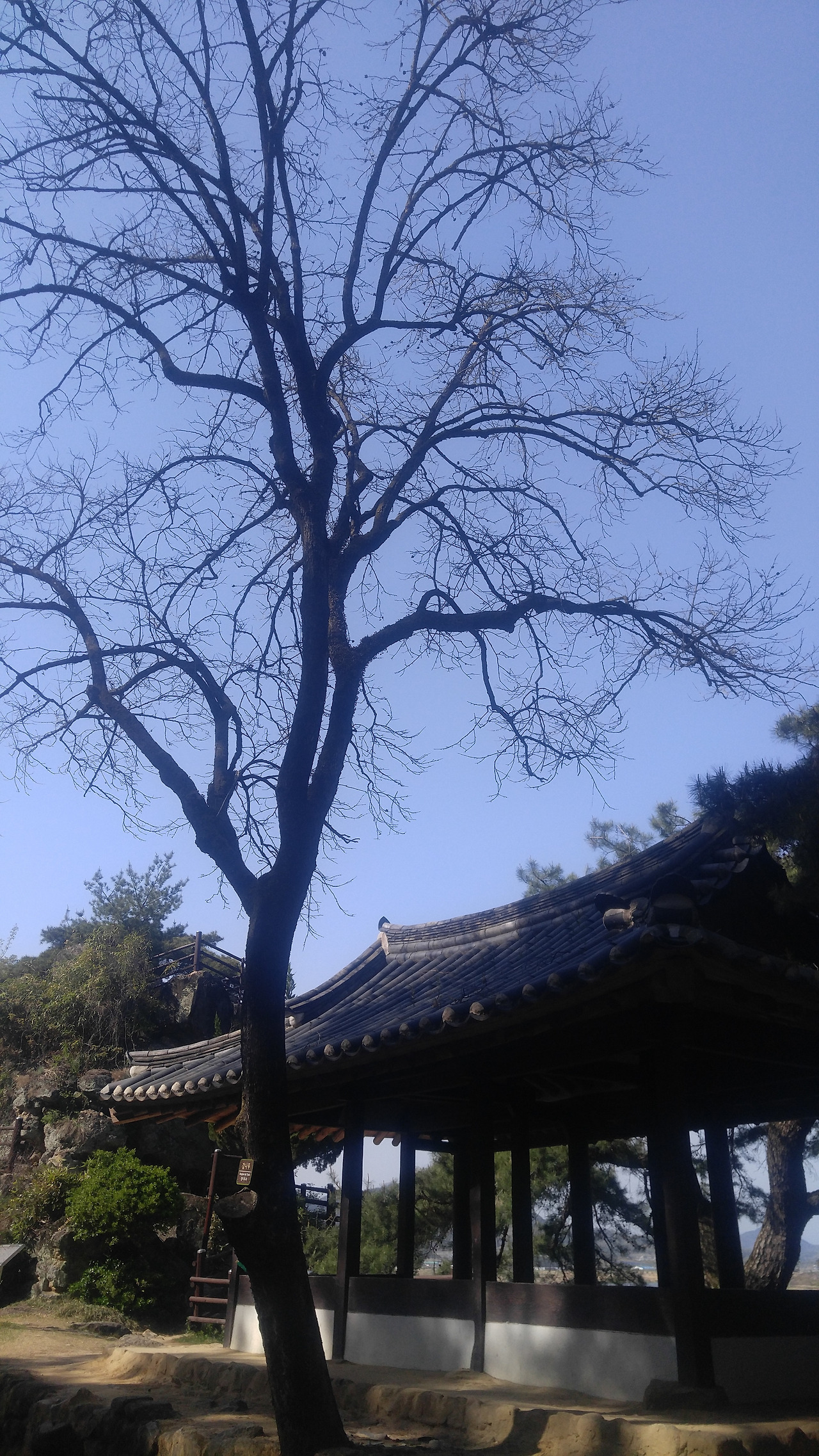 20180419_154343 (1).jpg