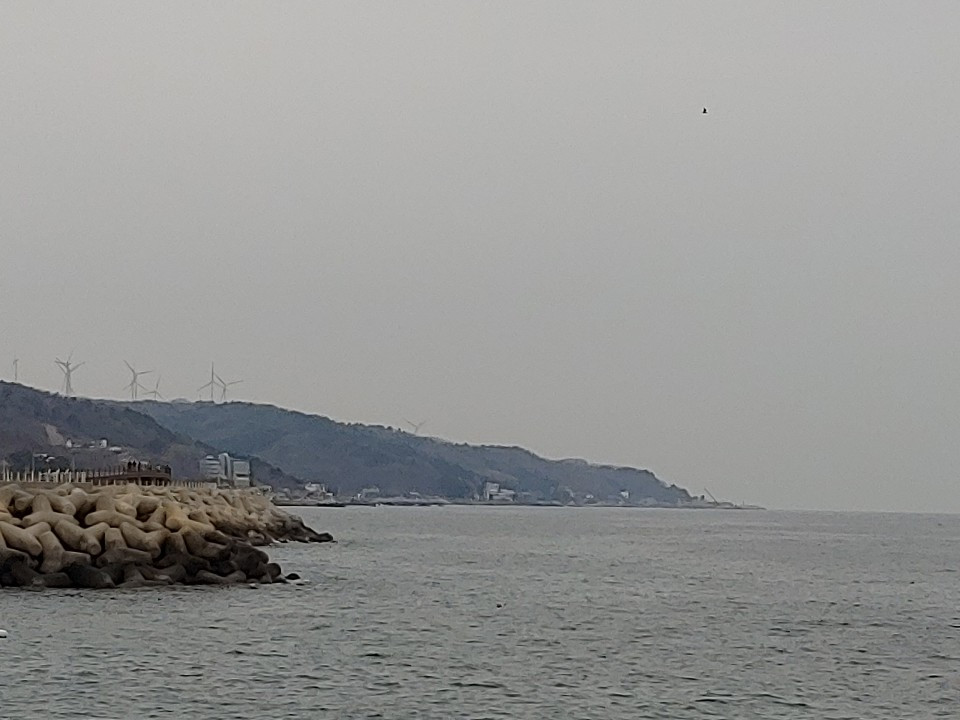 1583634919646 (1).jpg