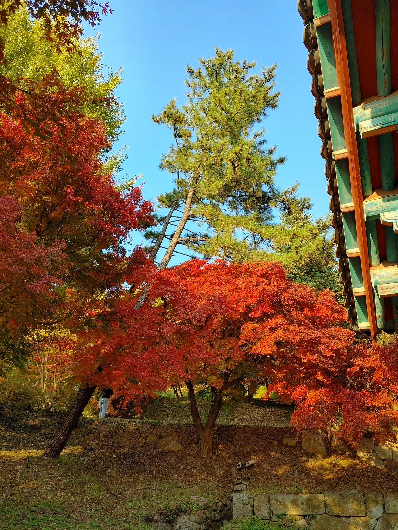 20211031_155122_HDR (1).jpg