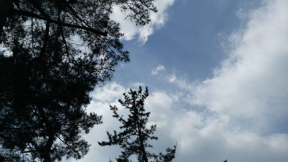 FB_IMG_1623186904739 (1).jpg