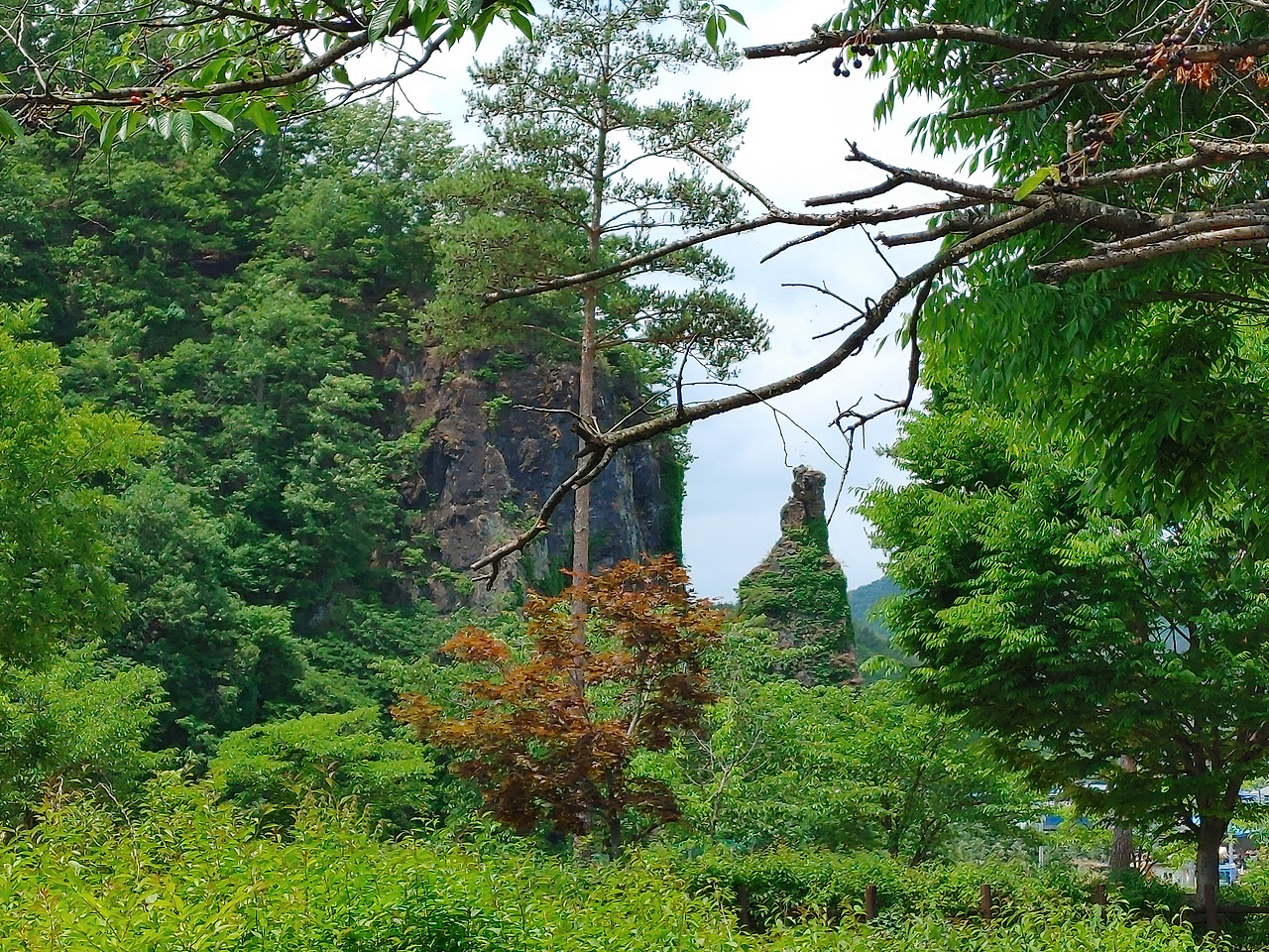 20220612_121226 (1).jpg