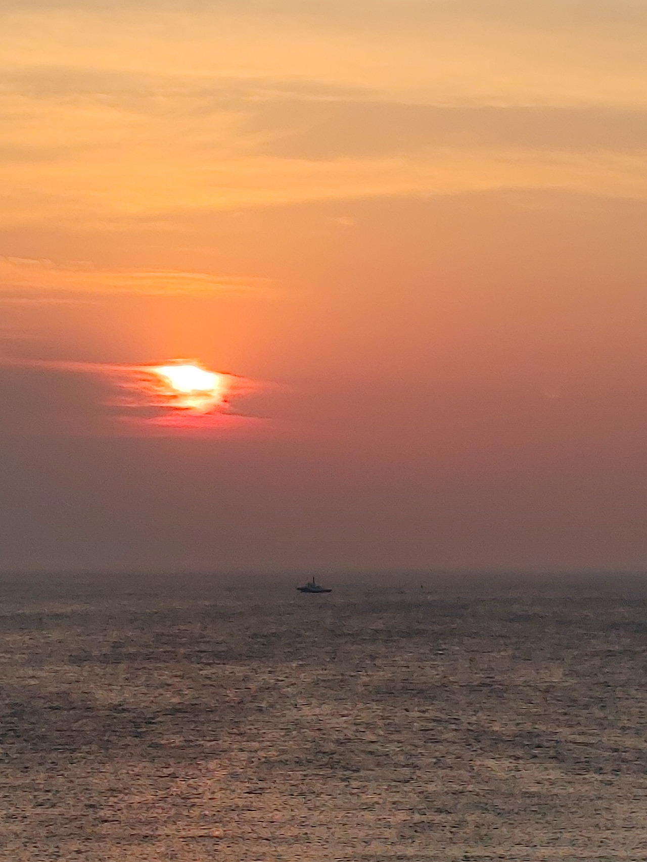 20220522_053025 (1).jpg