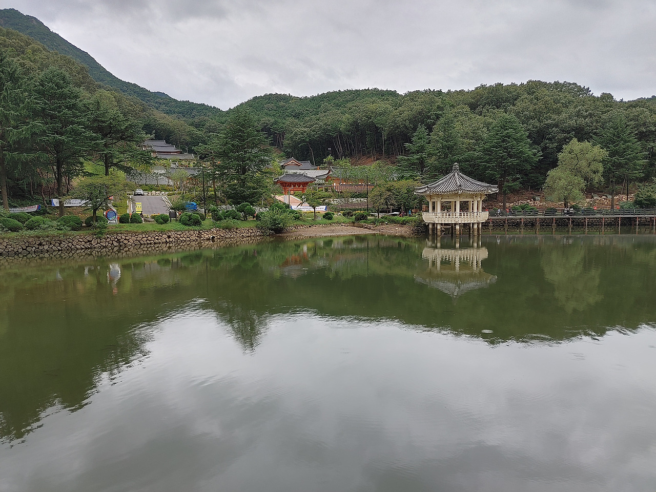 20200912_141308_HDR (1).jpg