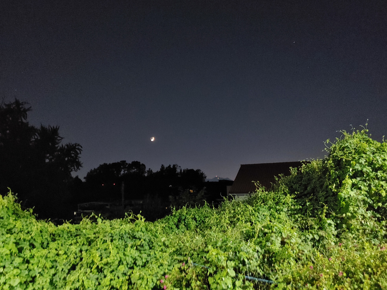 20200920_191823_HDR (1).jpg