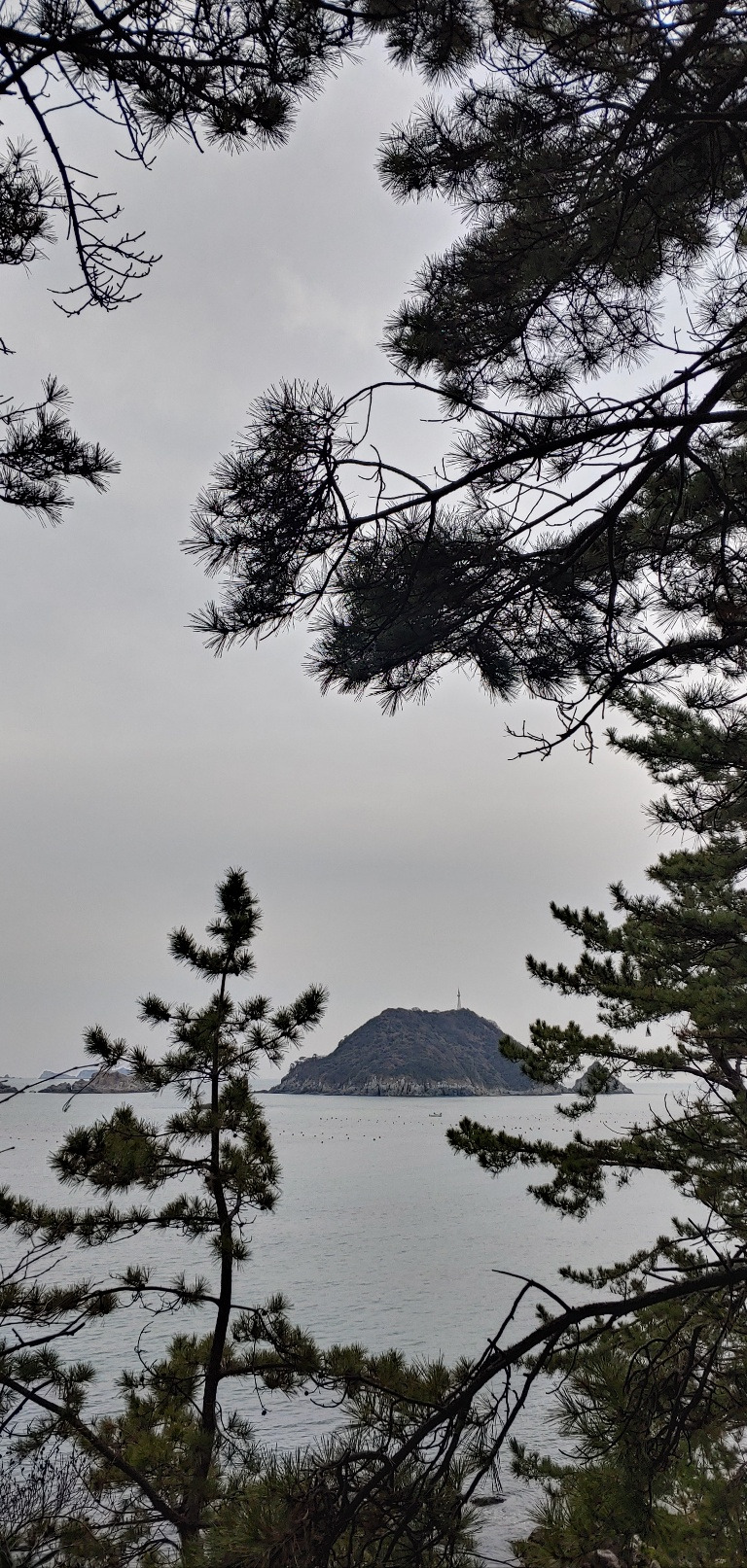 1674521652137 (1).jpg