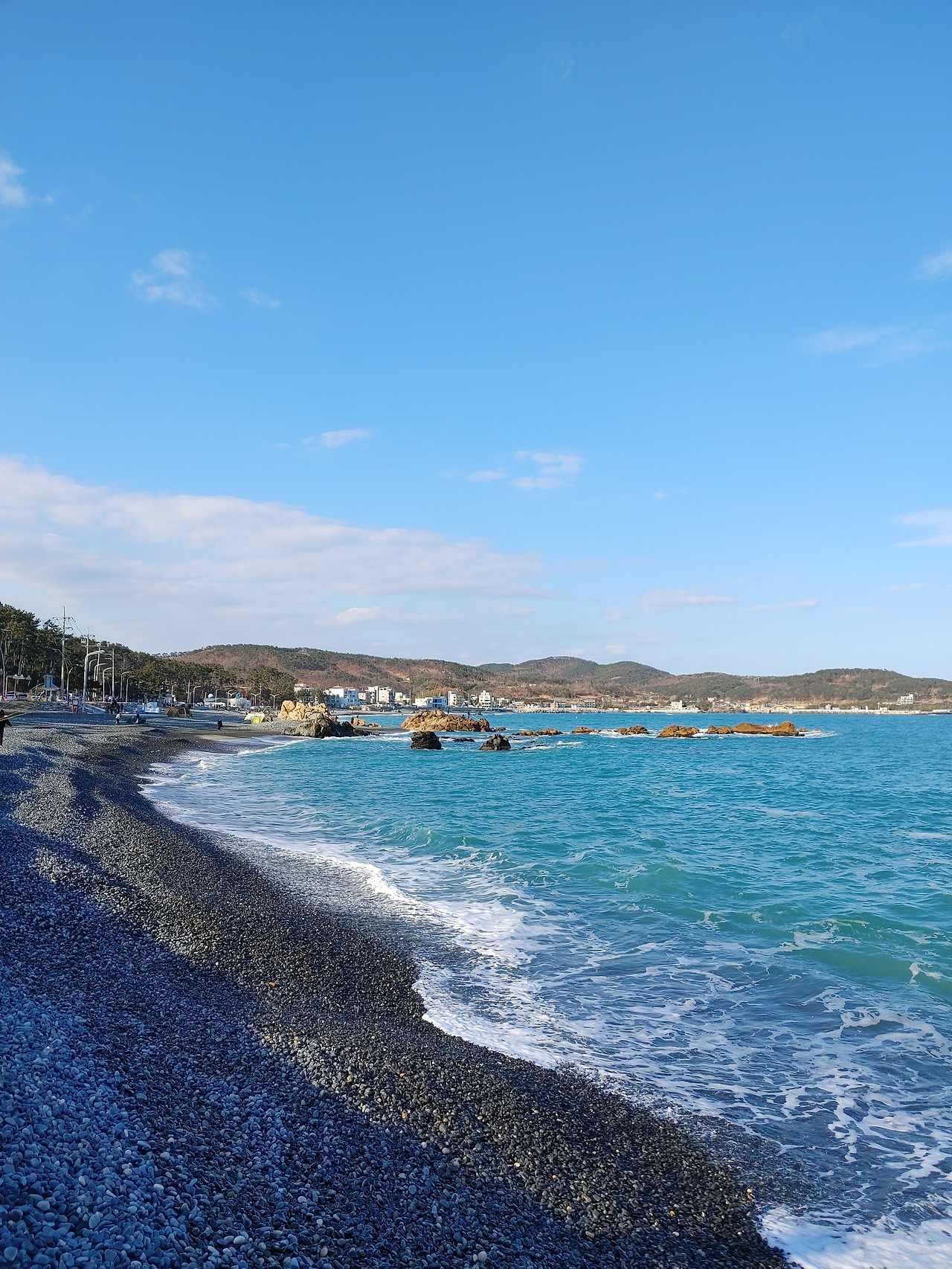 20220122_150934 (1).jpg