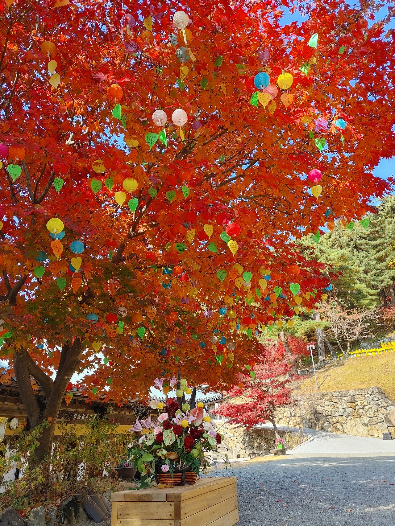 20211106_112712_HDR (1).jpg