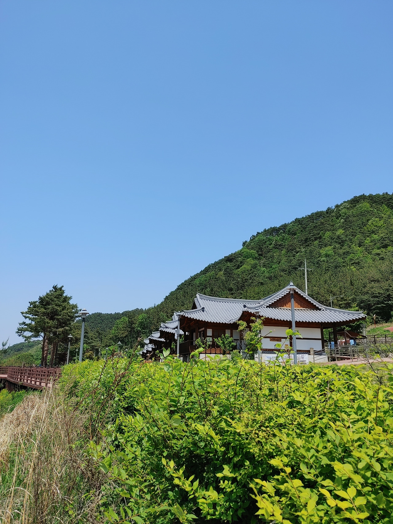 20230430_123220 (1).jpg