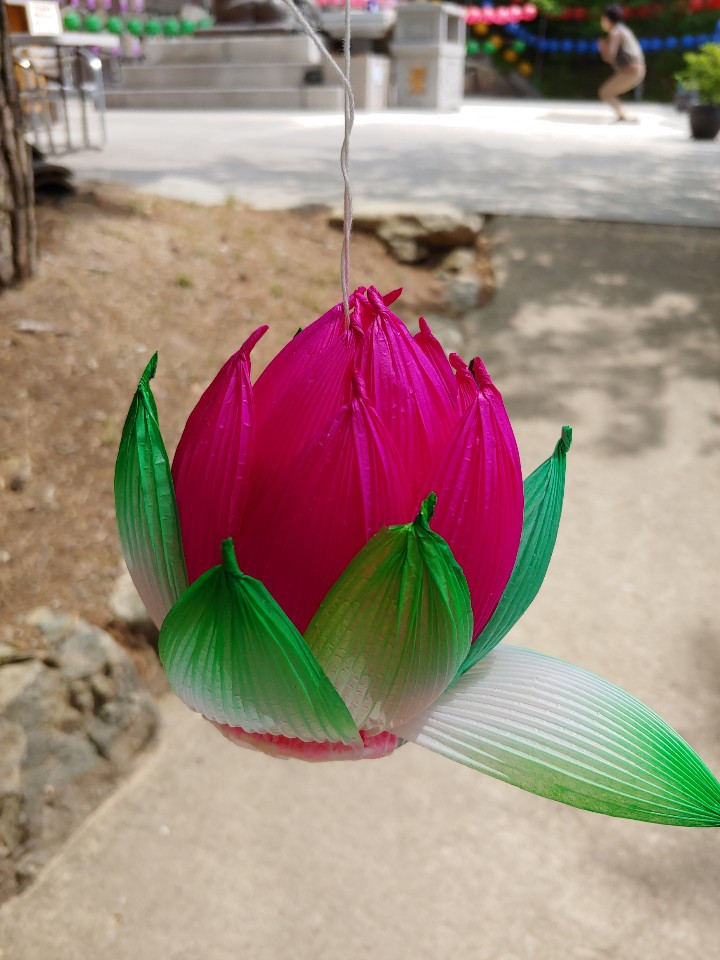 1557100949250 (1).jpg