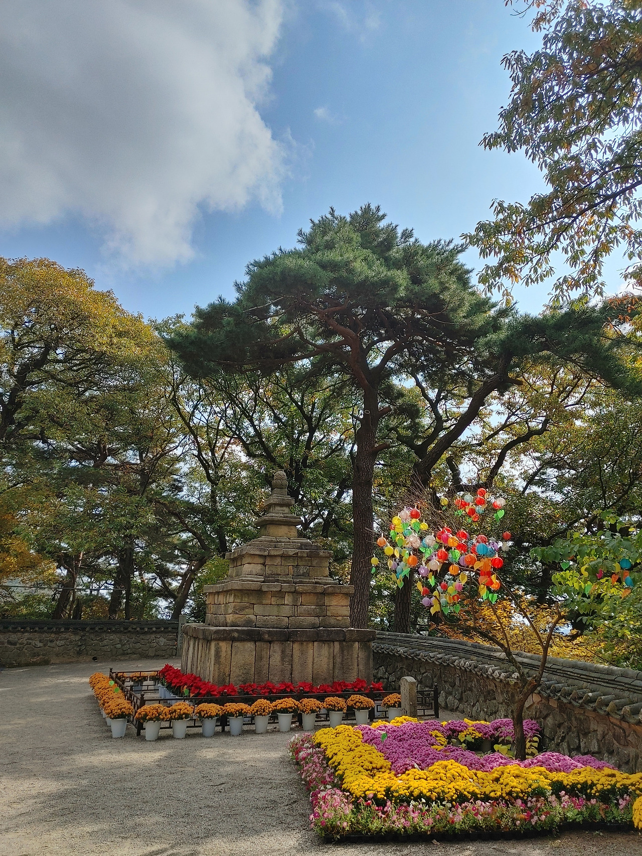 20221029_105904_HDR (1).jpg