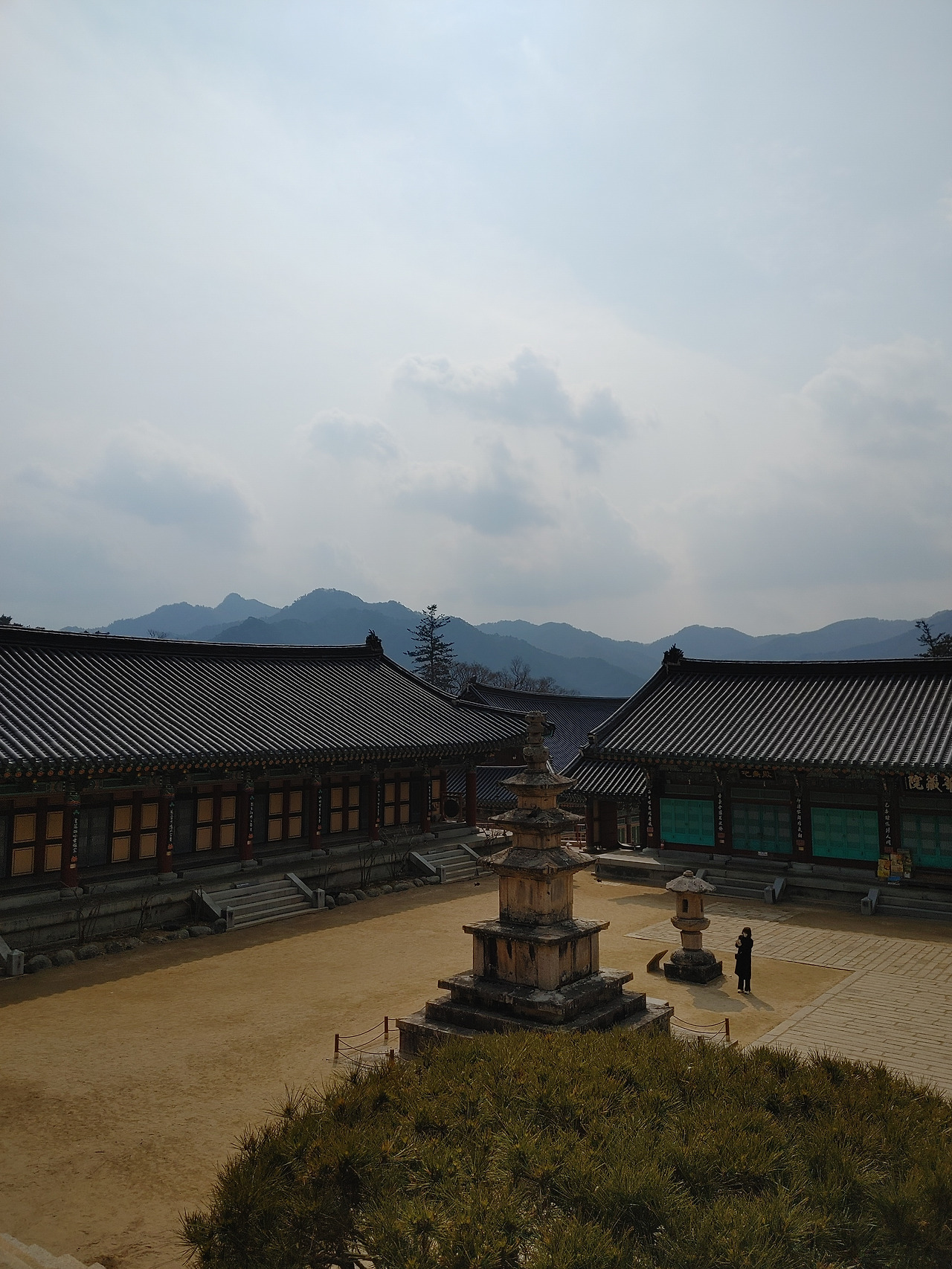 20220301_132418 (1).jpg