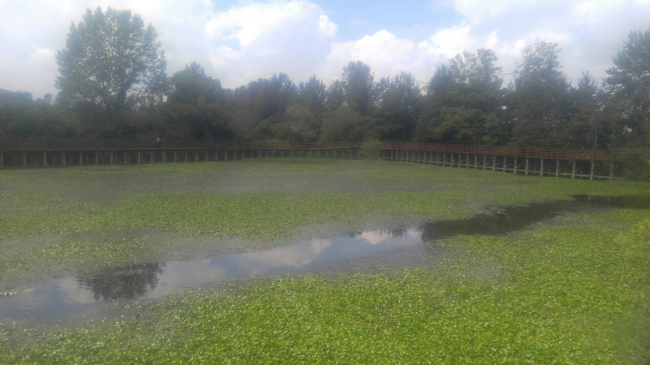 1569547341313 (1).jpg