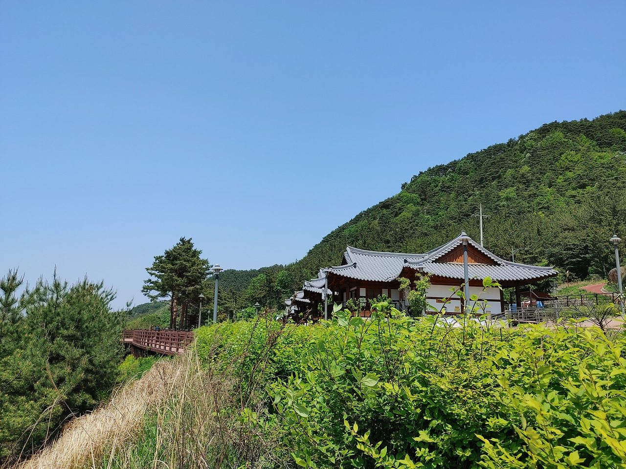 20230430_123205 (1).jpg