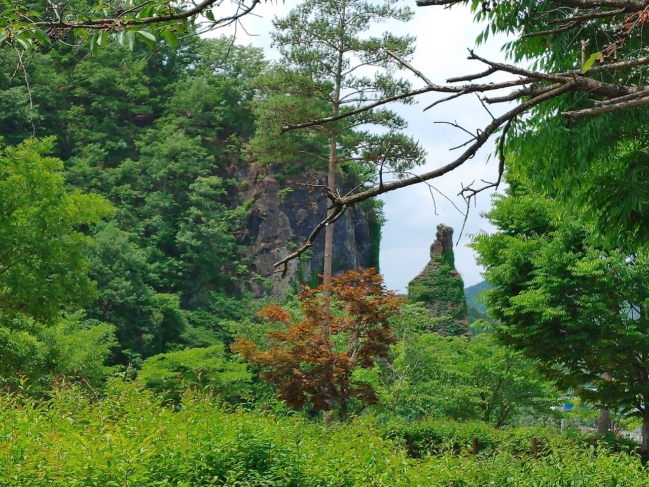 20220612_121221 (1).jpg