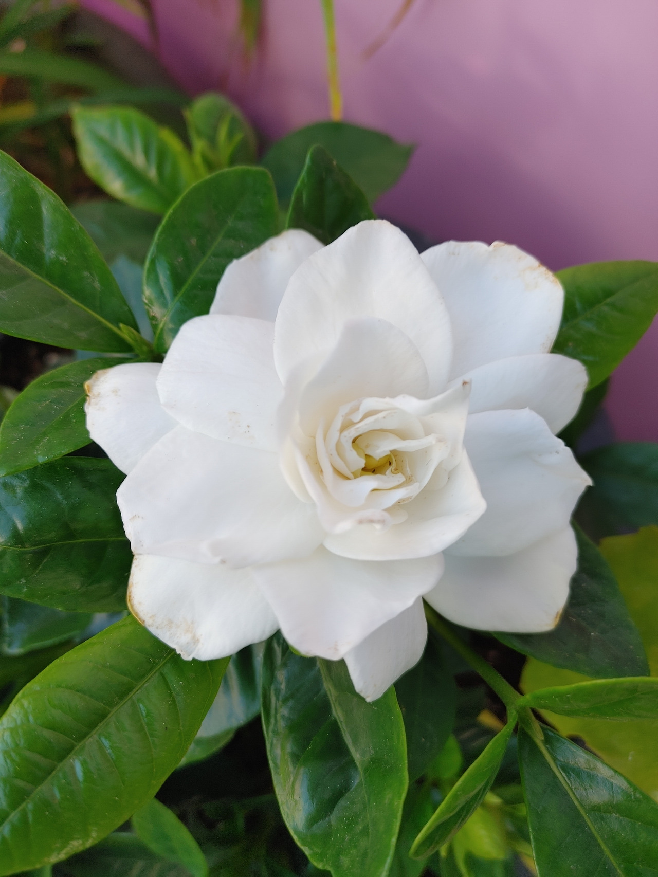 20210519_083008_HDR (1).jpg