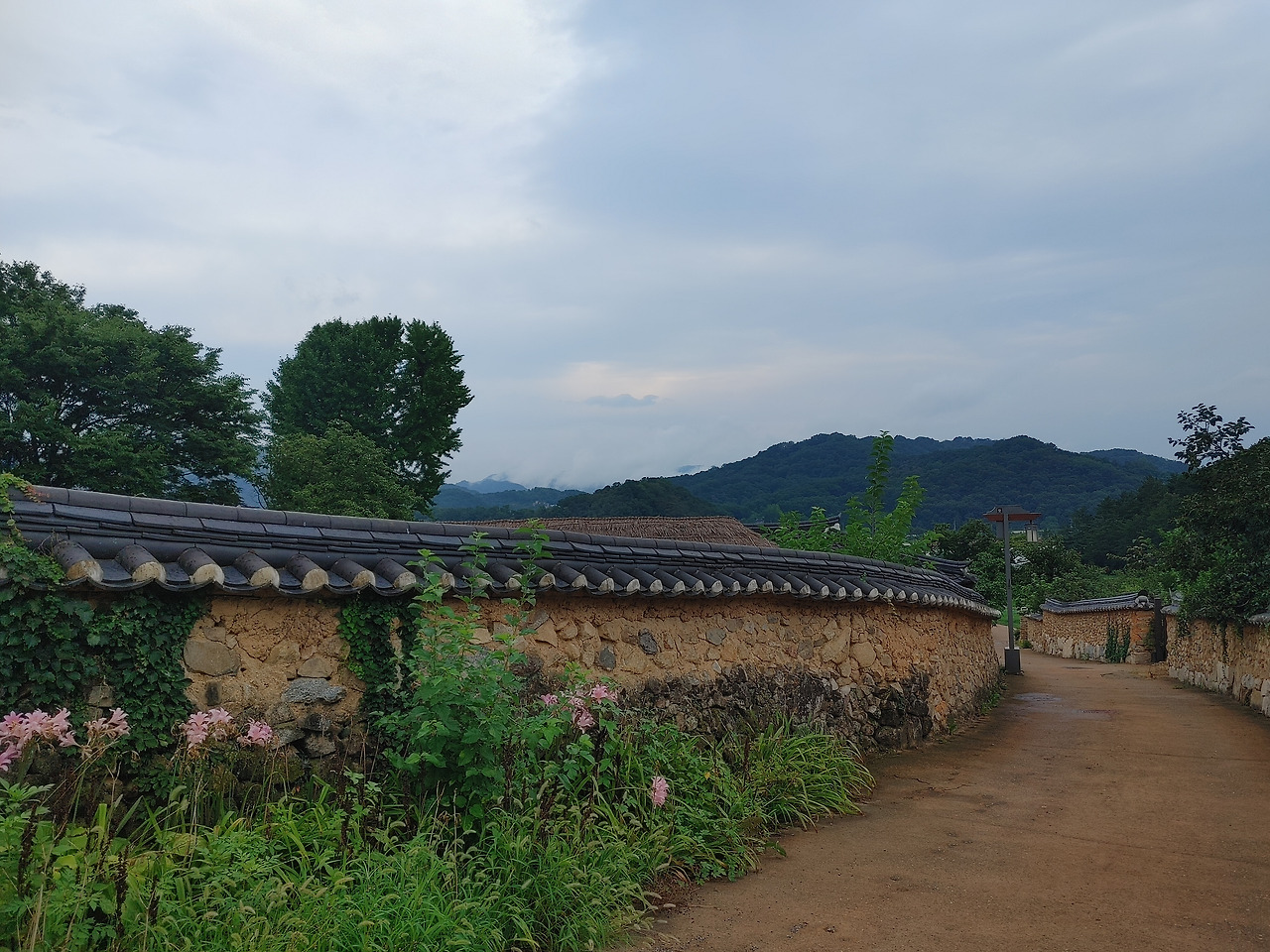 20220810_154450_HDR (1).jpg