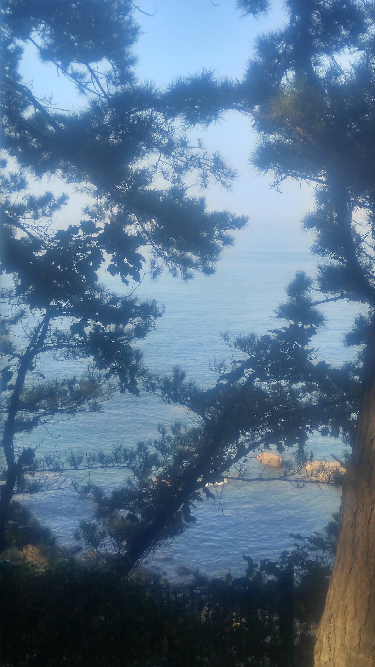 20191019_100518_HDR (1).jpg