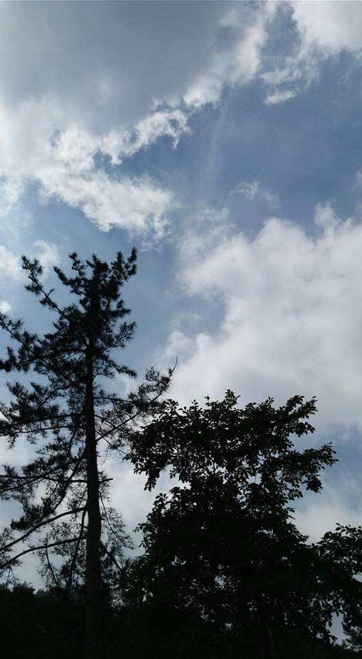 FB_IMG_1623186923469 (1).jpg