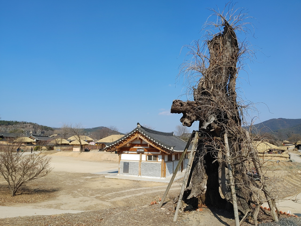 20230225_141525 (1).jpg