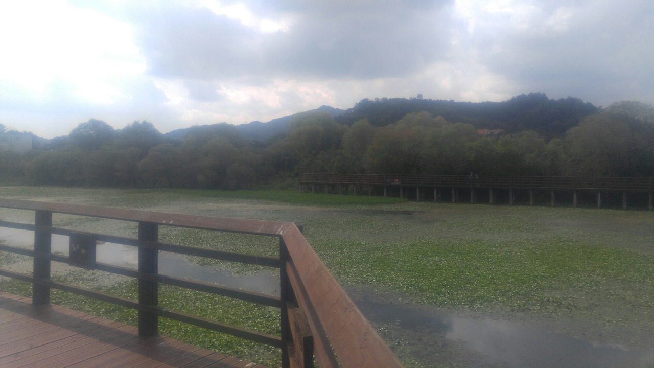 1568520019781 (1).jpg