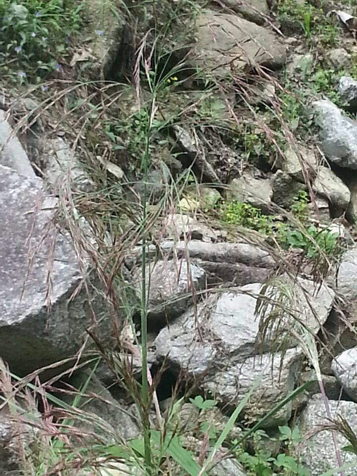 1568154422312 (1).jpg